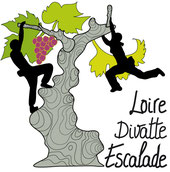 logo_divatte_escalade