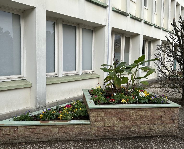 fleurissement des jardinières devant le bâtiment principal du lycée Briacé au Landreau