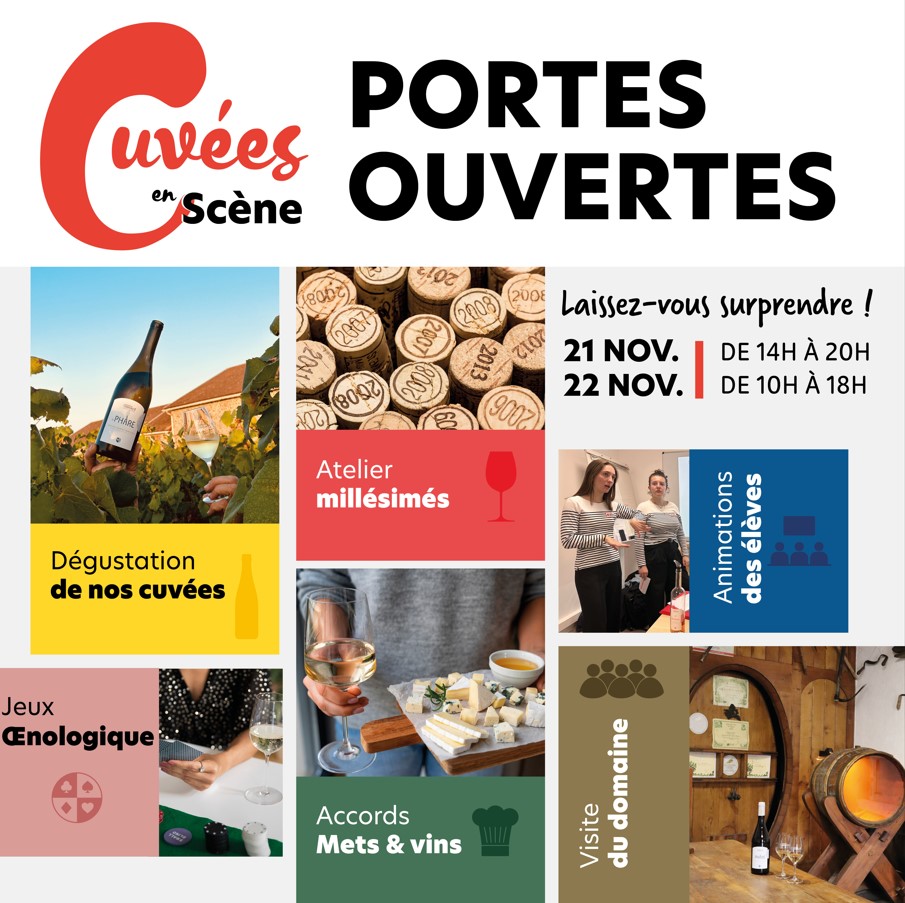 Dégustation de vins - achat, ateliers ludiques