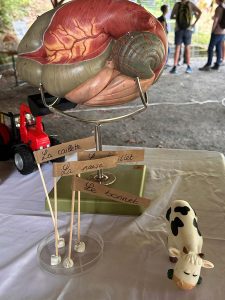 IMG_7373